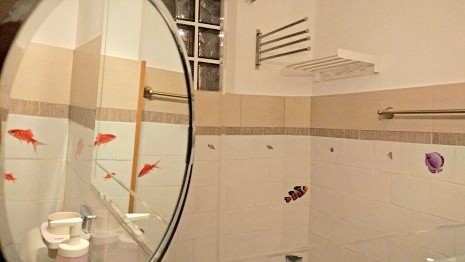 Salle de bains appartement 2 pices Ambassade de France Bucarest centre historique Amzei